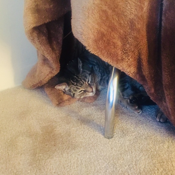 Show Me Your Share & I'll Show You Mine - Picture 3 of 3